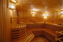 stroitelstvo sauny